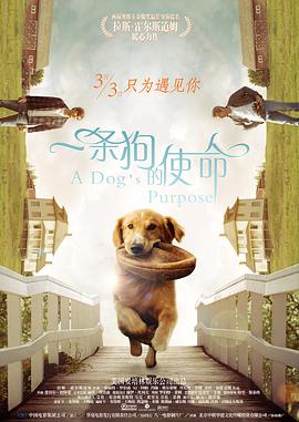 久久久久久久综合色一本
